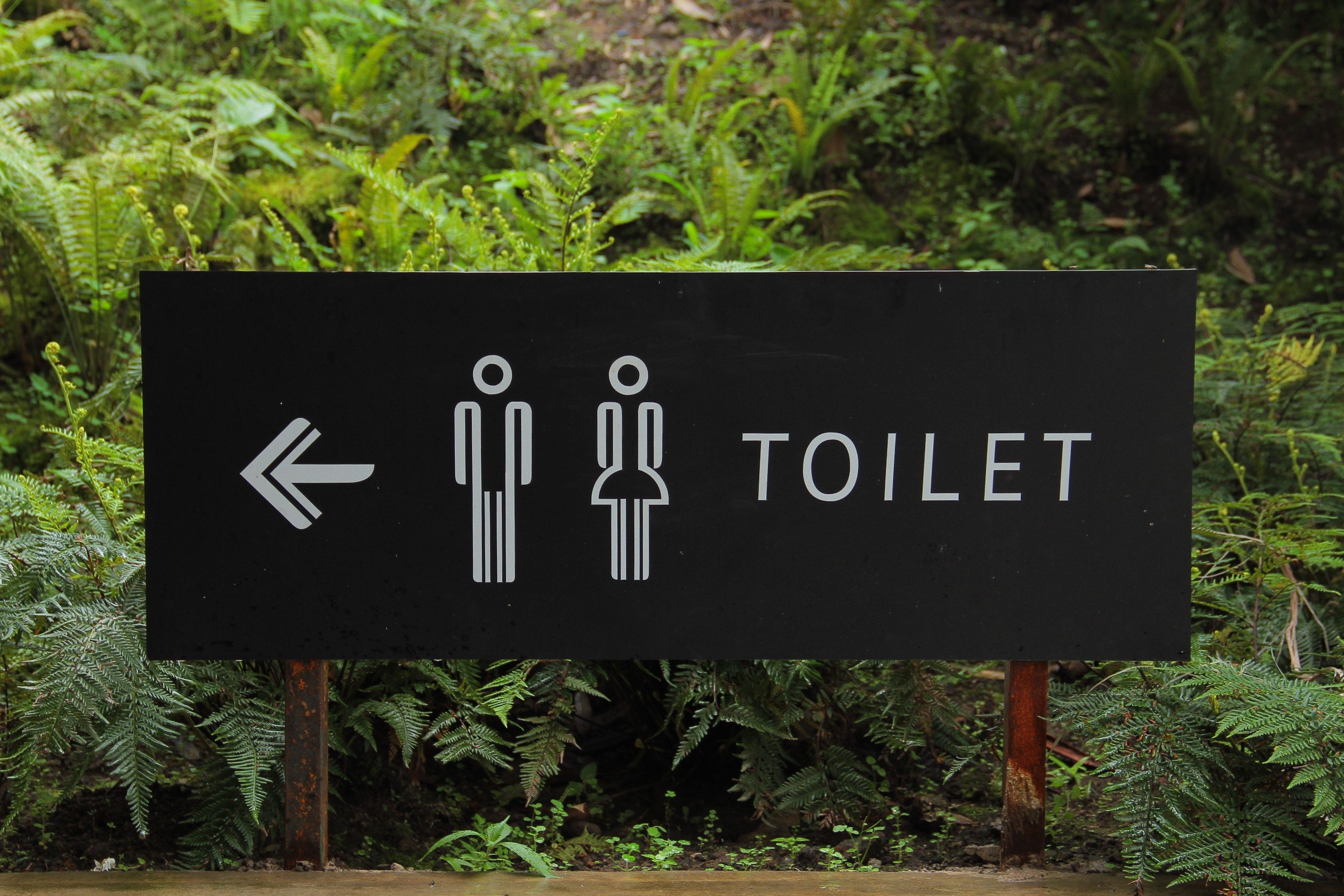 Postcoital Time = Potty Time (aka, pee after sex)