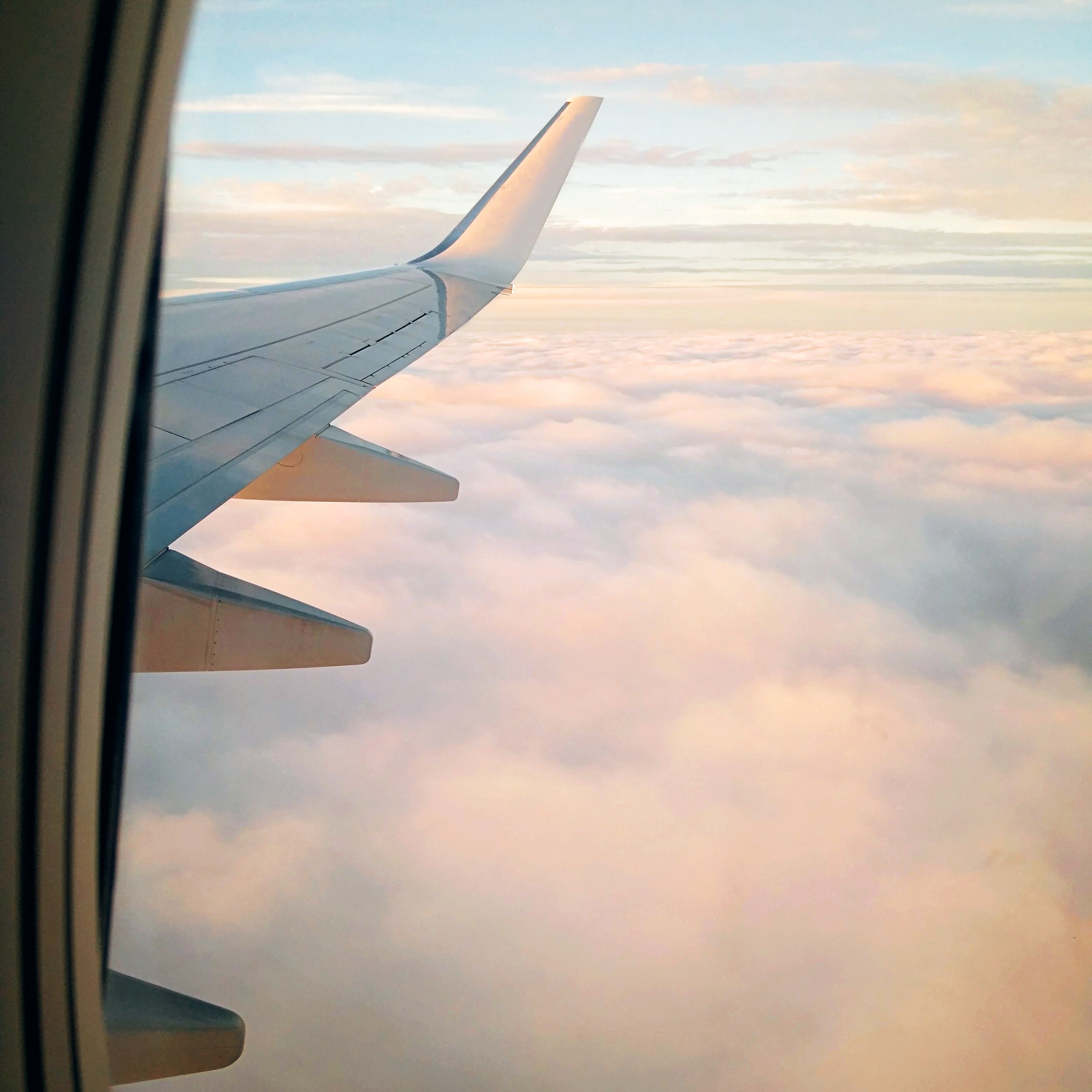 Travel Safe, Travel Healthy: Tips for Optimal Feminine Hygiene When You’re Away from Home